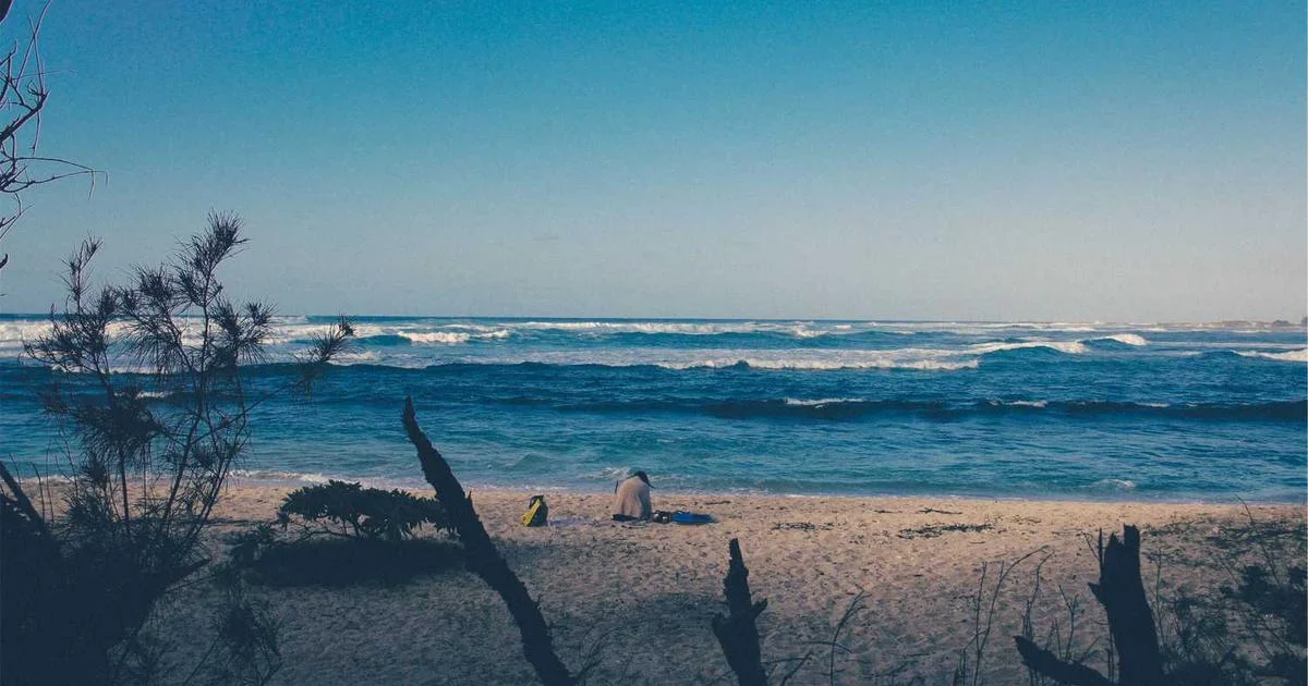 AI customer service chat interface showing automated resolution