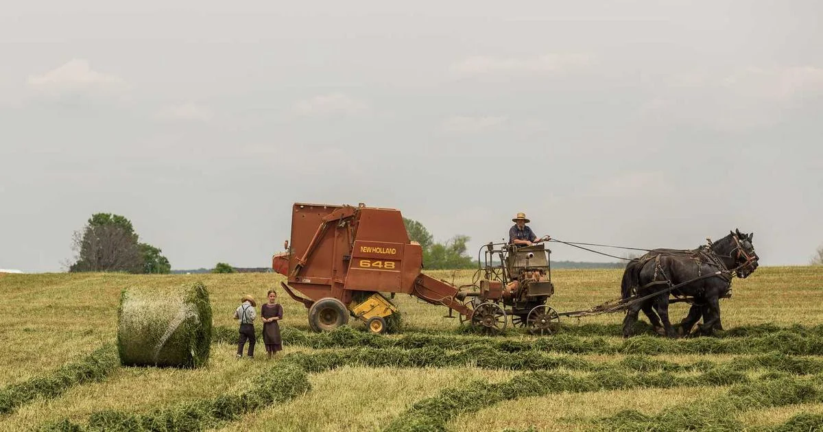 Custom Shopify checkout with loyalty points and upsells