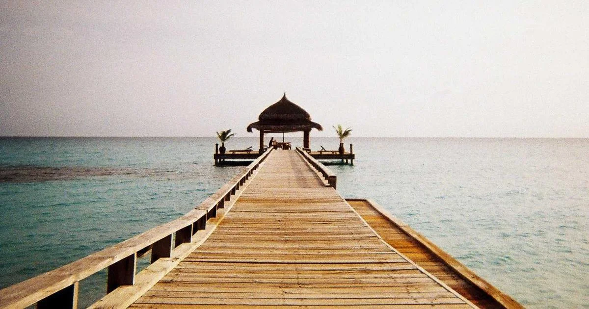 Custom CRM dashboard built with Laravel