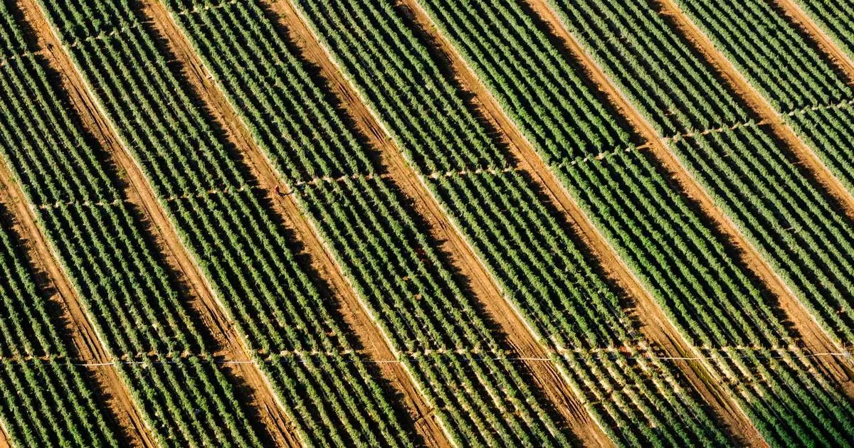 Headless architecture diagram showing frontend separated from Shopify backend